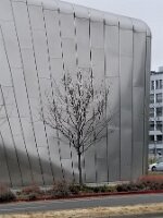Berkeley Art Museum and Pacific Film Archive