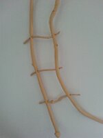 Wall sculpture (Martha's Vineyard)