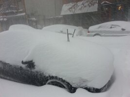 Windshield wipers
