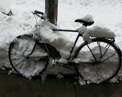 The day after