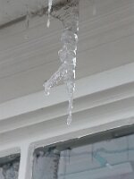 2014-02-16 12.19.19-1