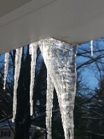 2014-02-17 09.04.38-1