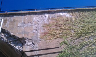 Ivy on railroad overpass (Astoria)