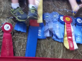 Hayride float (Martha's Vineyard)